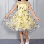 Party Wear