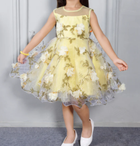 Party Wear